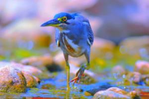 英超联赛最新赛程表出炉，complete赛季安排全解析英超联赛节目单最新表