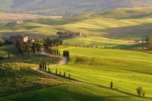 英超联赛历史比分观看指南，如何找到英超历史比分数据与直播英超联赛历史比分在哪看